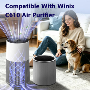 Filtre de remplacement C610 Z pour purificateur d'air C610, filtre à charbon actif 3 en 1, 1712-0121-00 - Product Image 1
