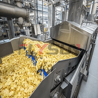 Frituurlijn met 304 roestvrijstalen gaasband voor het produceren van snelgevroren ingrediënten in voedingsfabrieken