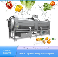 Rol trommel met borstel wasmachine groenten fruit