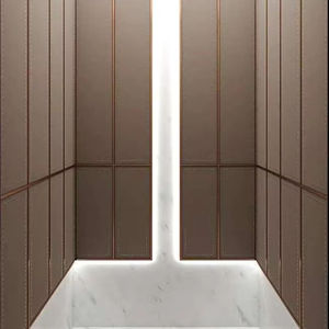 Ascenseur commercial Otiis, fabricant d'ascenseurs, ascenseur pour passagers de 10 personnes, OTTS - Product Image 1