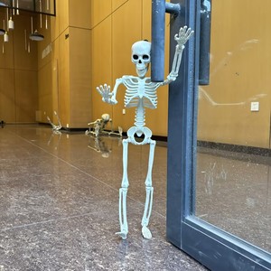 Oferta 2026: Esqueleto Humano Gigante Realista de 160 cm (60 Pulgadas/10 pies) para Decoración de Jardín, Ideal para Halloween - Product Image 6