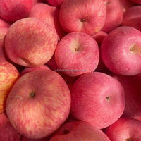 Chinese Shandong verse Fuji Red Delicious Gala appels met zoete smaak, sappig, vitamine-rijk, graad 1