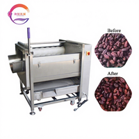 Automatische Dadels Palmreiniging Polijstmachine Borstelrol Droge Datum Wasmachine
