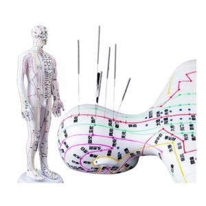 टीसेमी शिक्षा के लिए सुई सम्मिलन बिंदु सतह के साथ उन्नत रंग-कोडित मेरिडियन लाइन एक्यूपंक्चर प्रशिक्षण मॉडल - Product Image 1