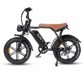 H9: Nuevo diseño de bicicleta eléctrica de neumáticos gordos Ruihe 20 pulgadas bicicleta eléctrica gorda 1000W ebike hip e-bike - Product Image 3