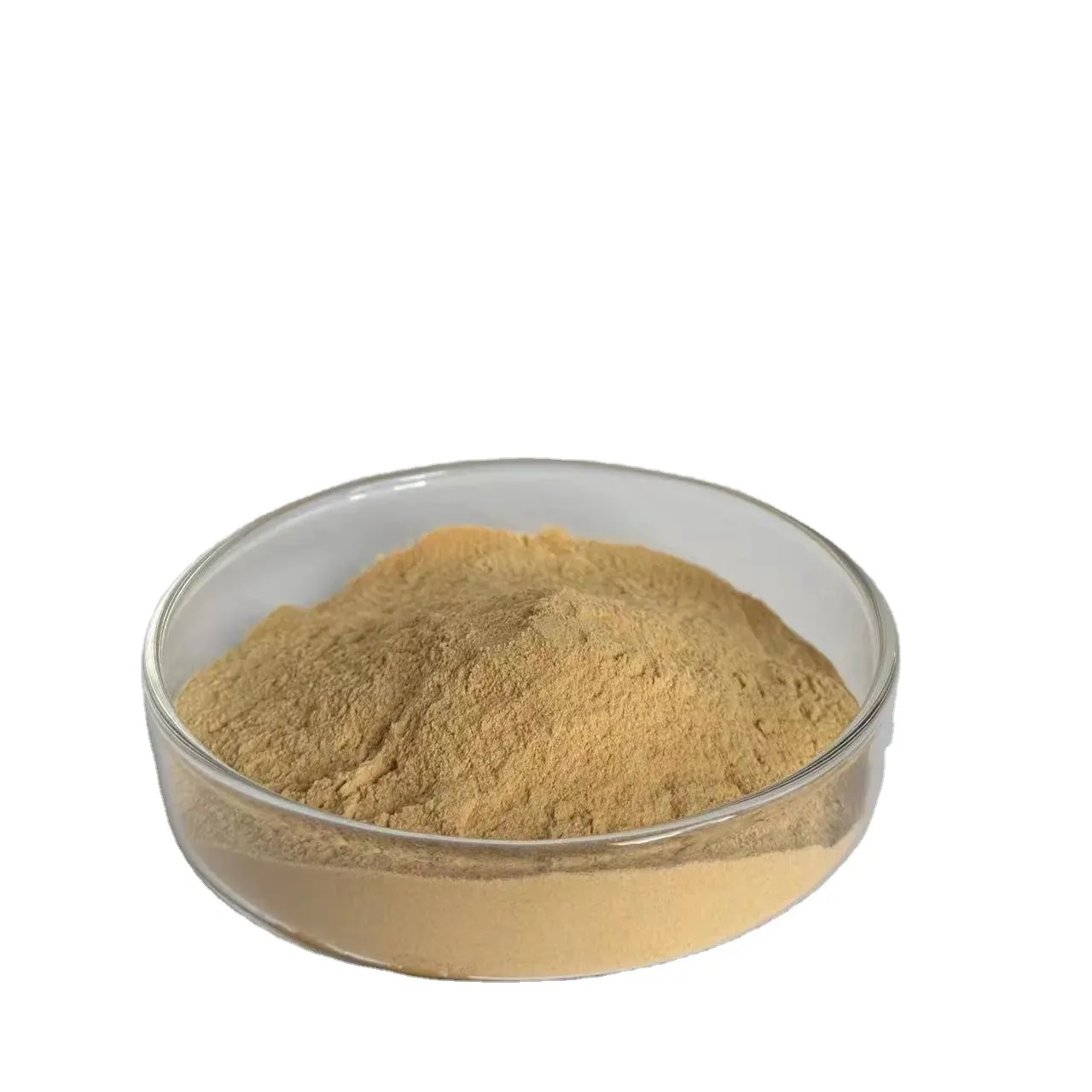 Extracto de ajo en polvo de semilla de ajo puro natural