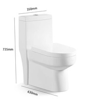 Vente en Gros Ensemble WC Céramique Monobloc à Siphon en S et Siphon en P pour Salle de Bain