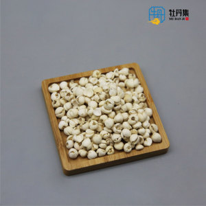 Qualidade Premium Sichuan Fritilaria Secas Fritilaria Cirrhosa Natural Ervas Chinesas Lâmpadas Saúde Venda Quente de Alta Qualidade - Product Image 4