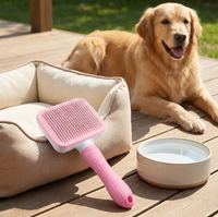 Brosse démêlante professionnelle multifonctionnelle pour animaux de compagnie, en forme d'arc, pour l'élimination des poils et le massage, avec aiguilles fines en ABS