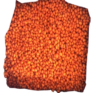 Nouvelle récolte d'<span class=keywords><strong>argousier</strong></span> entier surgelé IQF, fruits d'<span class=keywords><strong>argousier</strong></span> surgelés - Product Image 1