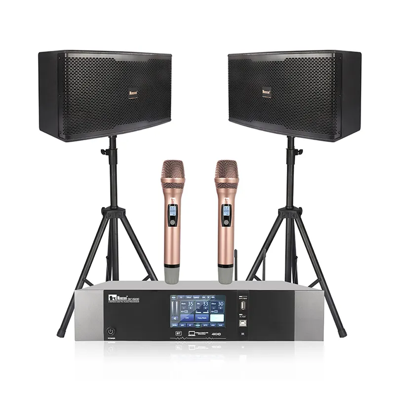 Karaoke Set Professionele Spreker Audio Geluid Volledige Set Karaoke Systeem Voor Entertainment