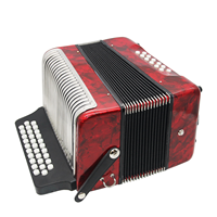 Professional Factory Red Color Grey Color 31 Button 12 Bass Diatonic Button Accordion