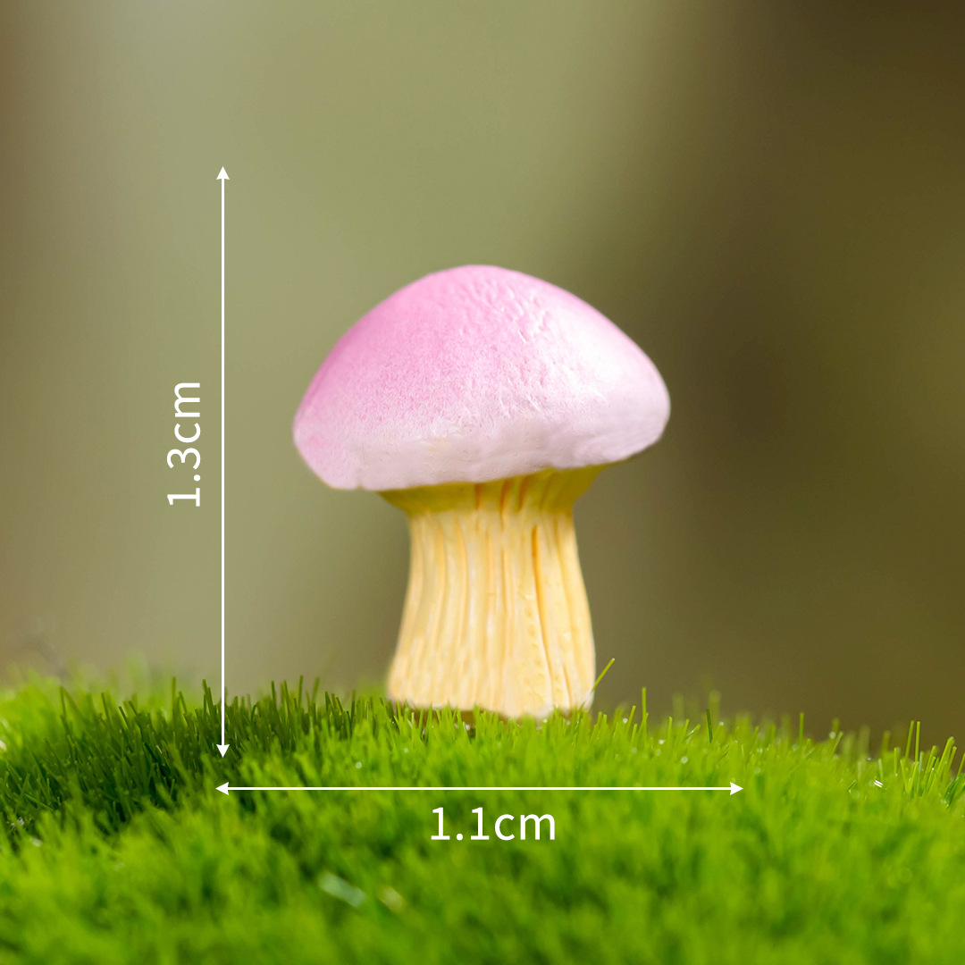 No 4-dream mushroom