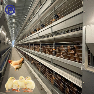 Jaula para Gallinas Tipo H de Tamaño Personalizado, Jaula para Animales de Alta Calidad <span class=keywords><strong>a</strong></span> <span class=keywords><strong>Precio</strong></span> Económico - Product Image 1