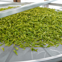 Poudre de thé vert matcha de qualité supérieure, conforme aux normes européennes, pour la fabrication de boissons, vente en gros, OEM, ODM, en vrac, 10 kg, MOQ