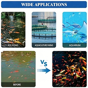 Écumeur de protéines commercial de haute qualité pour aquariums d'eau salée, réservoirs de coraux et écloseries aquacoles - Product Image 2
