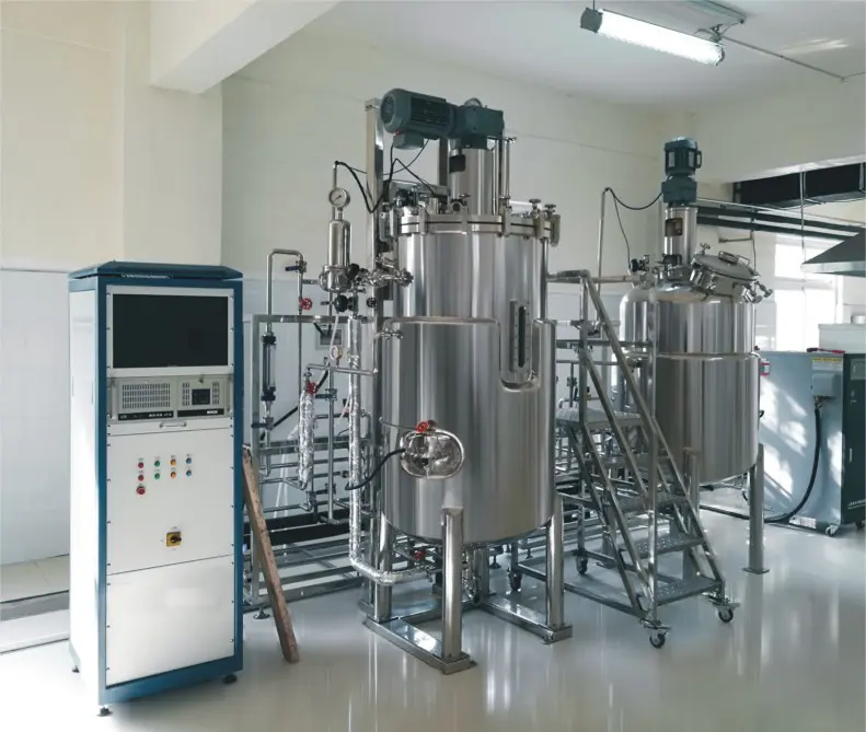 Bioreattore fermentatore personalizzabile 500L 1000L 10000L 20000L per coltura cellulare