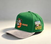 Gorra de Béisbol Personalizada de 5 Paneles, 100% Algodón Twill, Corona Verde, Visera Gris Claro, Bordado 3D a Todo Color, Parche Tejido