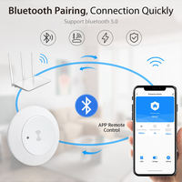 Détecteur de Mouvement Intelligent à Radar Sans Fil Wi-Fi Zigbee Bluetooth, en Matériau ABS, pour Maison Moderne, Capteur Corporel Intelligent avec Contrôle par Application