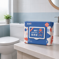 Lingettes humides jetables pour toilettes, 80 feuilles, épaisses, pour le nettoyage domestique, pour hommes et femmes