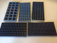 Barquettes de semis rectangulaires noires en PET multi-cellules avec trous de drainage pour plantes succulentes, légumes et plantes vertes