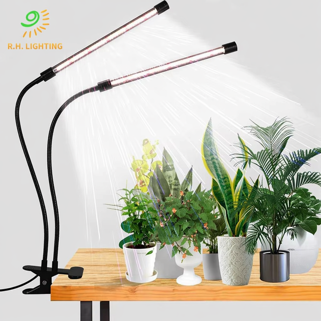 Full Spectrum COB LED Grow Light for Indoor Plants Bloom Support Dimmable Plant Growing Lamp Timer Hydroponic Greenhouse