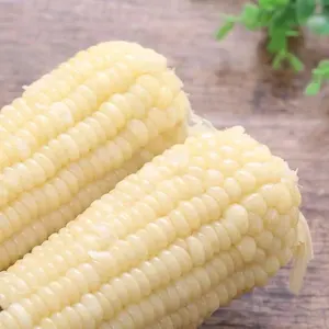 Glutinious Sticky Corn Yellow/Black Waxy Corn In China