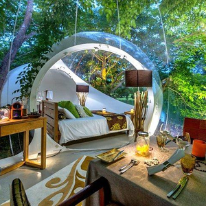 Domo Inflable de Plástico para Jardín, Carpa Transparente para Fiestas, Bodas y <span class=keywords><strong>Alquiler</strong></span> - Product Image 5