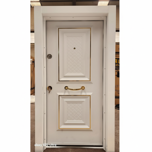 Puerta de acero con panel de metal asequible para proyectos de vivienda Solución duradera y rentable con fuerte estructura de seguridad - Product Image 1