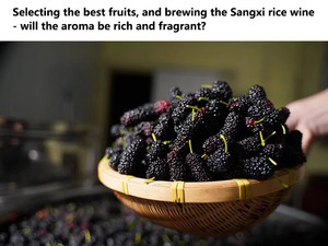 Vin <span class=keywords><strong>de</strong></span> <span class=keywords><strong>riz</strong></span> fermenté naturel Xiake Legend, 8% d'<span class=keywords><strong>alcool</strong></span>, mi-doux, bouteille <span class=keywords><strong>de</strong></span> 500 ml, santé, millésime 2025, jaune clair | - Product Image 5