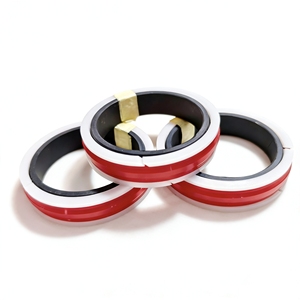 Kits de joints compacts pour vérins hydrauliques, joints de piston ZP pour milieux biologiques/air/chemiques - Product Image 1