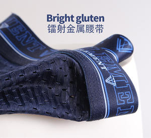 कस्टम आइस रेशम पतली पारदर्शी जाल लुभावनी कम वृद्धि और आकार बुना हुआ पुरुषों के मुक्केबाजों और ब्रिकी - Product Image 4