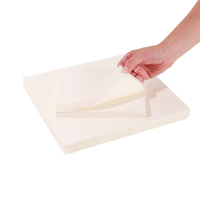 Papier de cuisson jetable antiadhésif, résistant à l'huile, de qualité alimentaire, biodégradable et écologique pour desserts et grillades