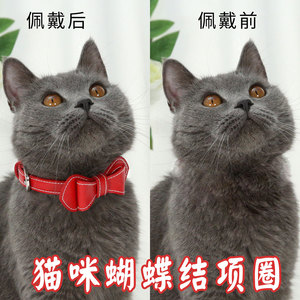 <b>Pet</b> Gentleman Bow <b>Collar</b> Green PU Durable Dog Cat <b>Collar</b> All Seasons Elegant Style - Product Image 5