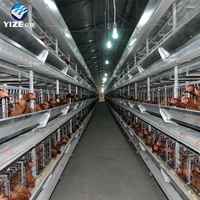 Cage à poules pondeuses de type A au design moderne, équipement avicole automatique