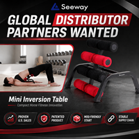 Table d'inversion compacte Innovation Sky Bike, robuste et peu encombrante, pour la maison, chaise de yoga pour exercices intérieurs