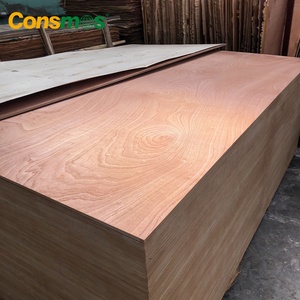 1220*2440mm 12mm 15mm 18mm impermeable WBP pegamento Sapele <span class=keywords><strong>Okoume</strong></span> Bintangor chapa madera contrachapada comercial tableros - Product Image 3