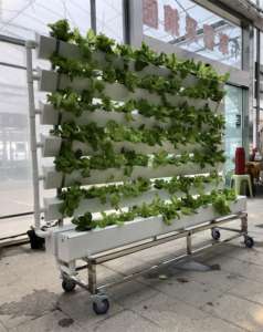 Oneone NFT Gully Hydroponique Pvc Channel Systèmes de culture hydroponiques pour la culture agricole Hydroponique Nft Channel - Product Image 6