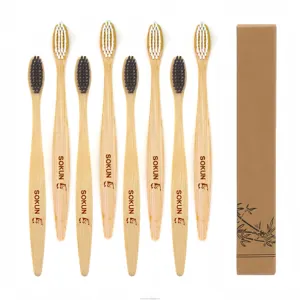 Ce Approved Biodegradable Natural Bamboo Wood Handle Hotel Bamboo Tooth Brush