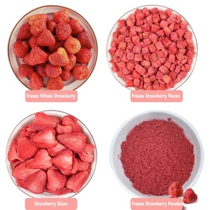 Pincredit Confezione all'Ingrosso da 10KG di Fragole Liofilizzate a Fette e Intere - Product Image 2