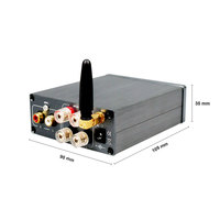 BRZHIFI Amplificateur stéréo économique de niveau HiFi 2.0 Amplificateur numérique classe d 50WX2 100WX2 BT 5.0