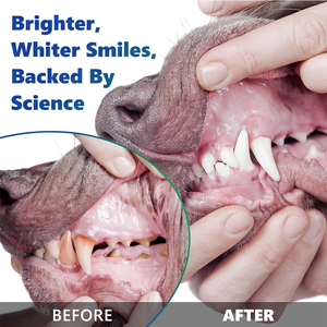 प्रोबायोटिक डॉग डेंटल पाउडर 80 ग्राम टार्टर-ऑफ पूरक दांतों की सफाई और सांस ताजा मछली स्वास्थ्य देखभाल अनुप्रयोग - Product Image 2