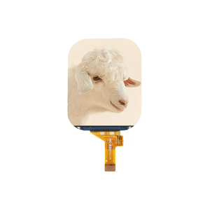 Bán Hàng Trực Tiếp 2.01Inch IPS Góc Nhìn Điều Khiển Ic Jd9853 TFT <span class=keywords><strong>LCD</strong></span> 240*296 850cd/M2 Module Cho Thiết Bị Di Động Các Ứng Dụng - Product Image 1