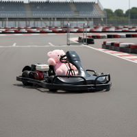 200CC, 270CC, 390CC, 420CC. Kart à essence