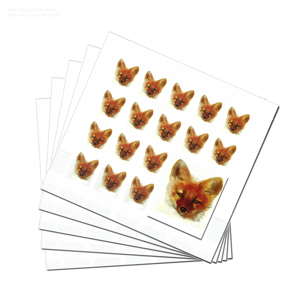 White Y67 2023 Red Fox