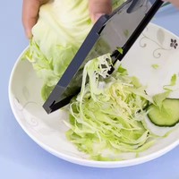Handmatige verstelbare keuken-snijder, fruit- en groentesnijder, rasp, roestvrijstalen mes