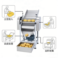 Éplucheuse de pommes de terre entièrement automatique professionnelle, éplucheuse de taro, éplucheuse de patates douces et de pommes de terre, mini éplucheuse de pommes de terre