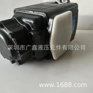 Pompe à aubes T6CC 012 008 1R00 B1, pompe à huile tandem pour systèmes hydrauliques de machines-outils de moulage par injection - Product Image 1