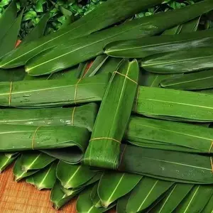 Biodegradable Disposable Dining Table Sushi Sashimi Decoration Bamboo Leaf