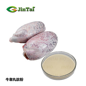 Bovinae Testis tozu sığır Testis özü tozu Bos taurus domesticus Gmelin Testis tozu - Product Image 2